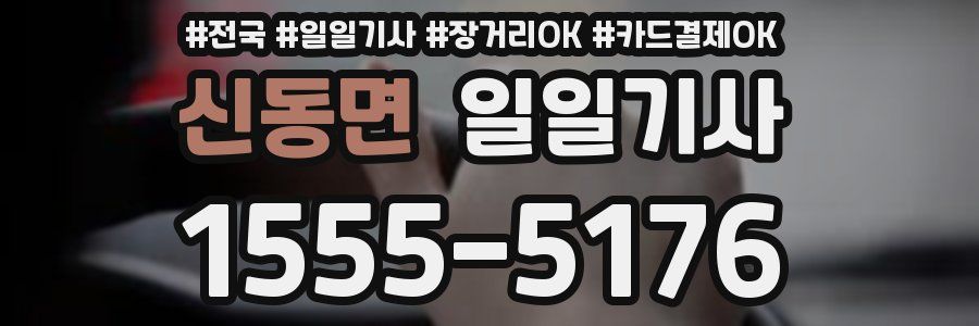 신동면 일일기사