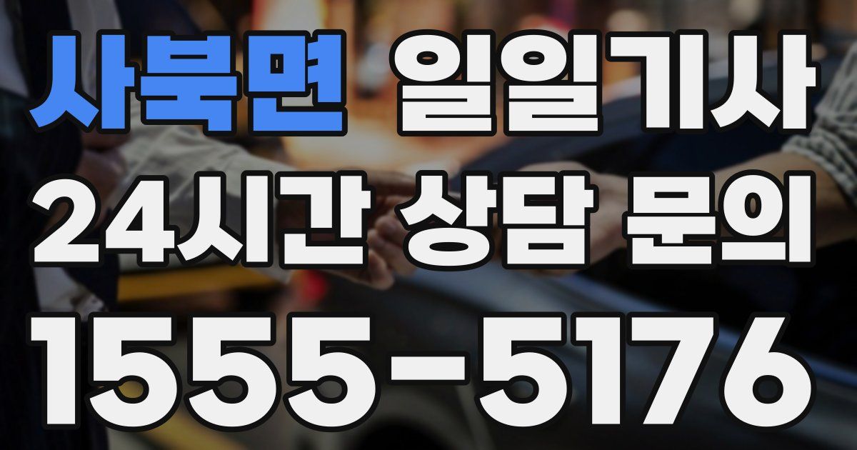 일일대리기사