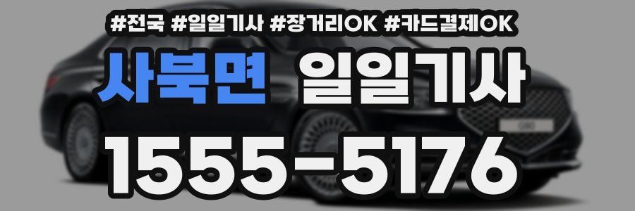 사북면 일일기사