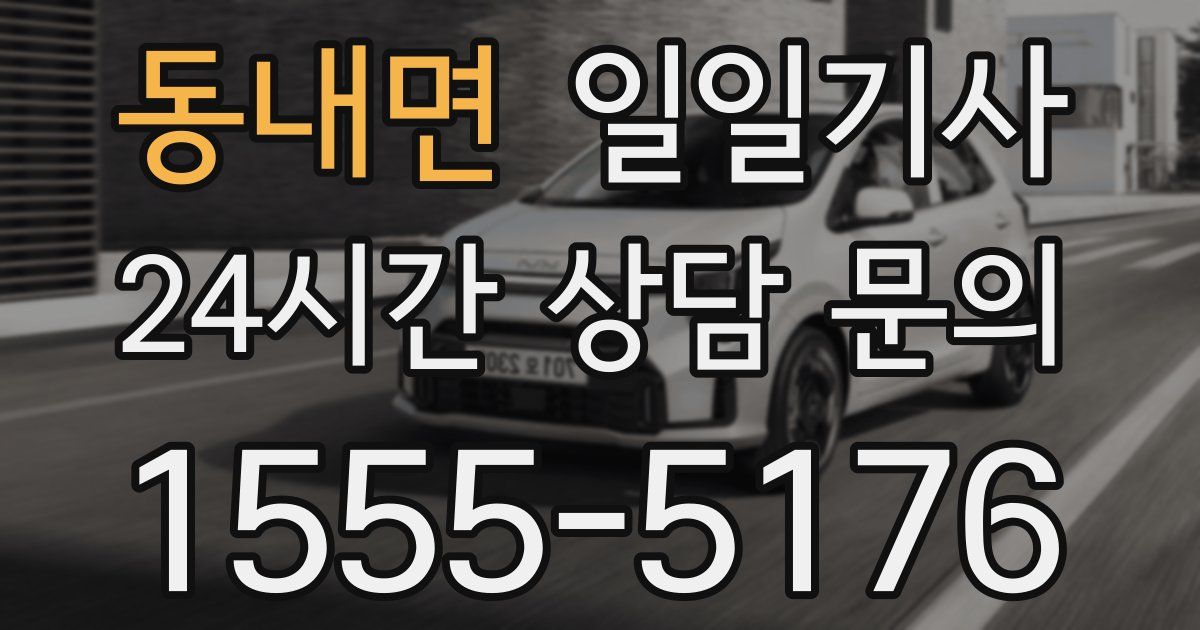 일일대리기사