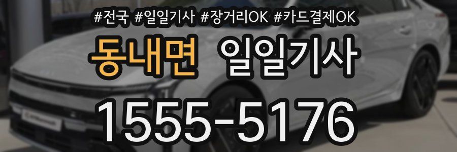 동내면 일일기사