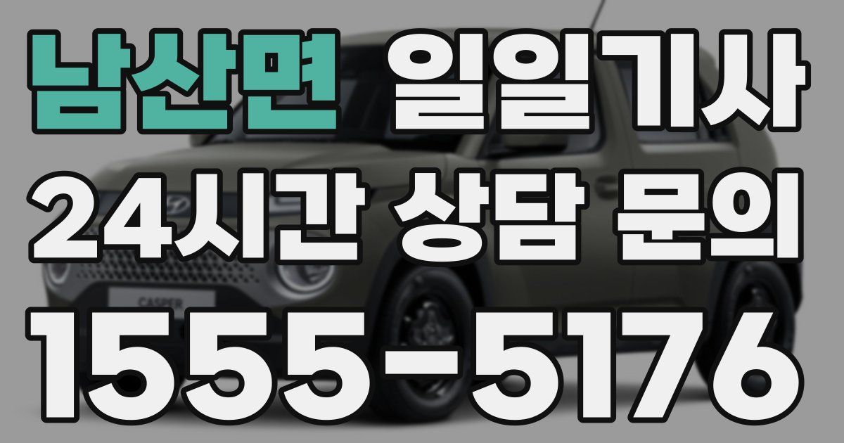 일일대리기사
