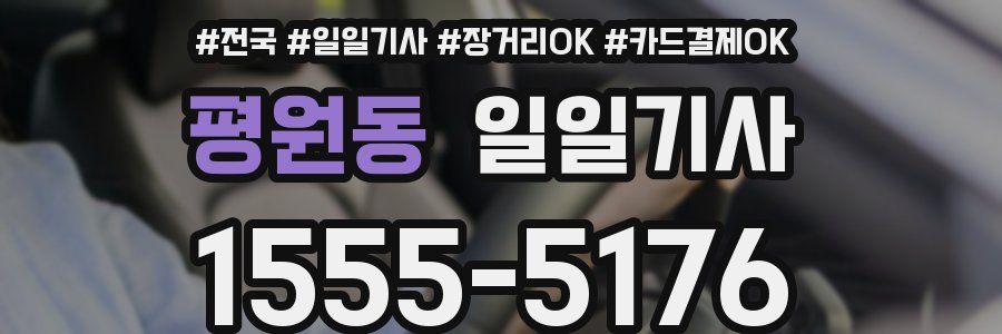 평원동 일일기사