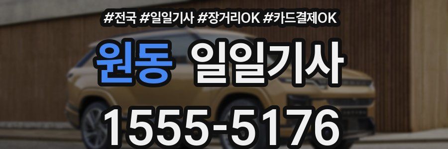 원동 일일기사