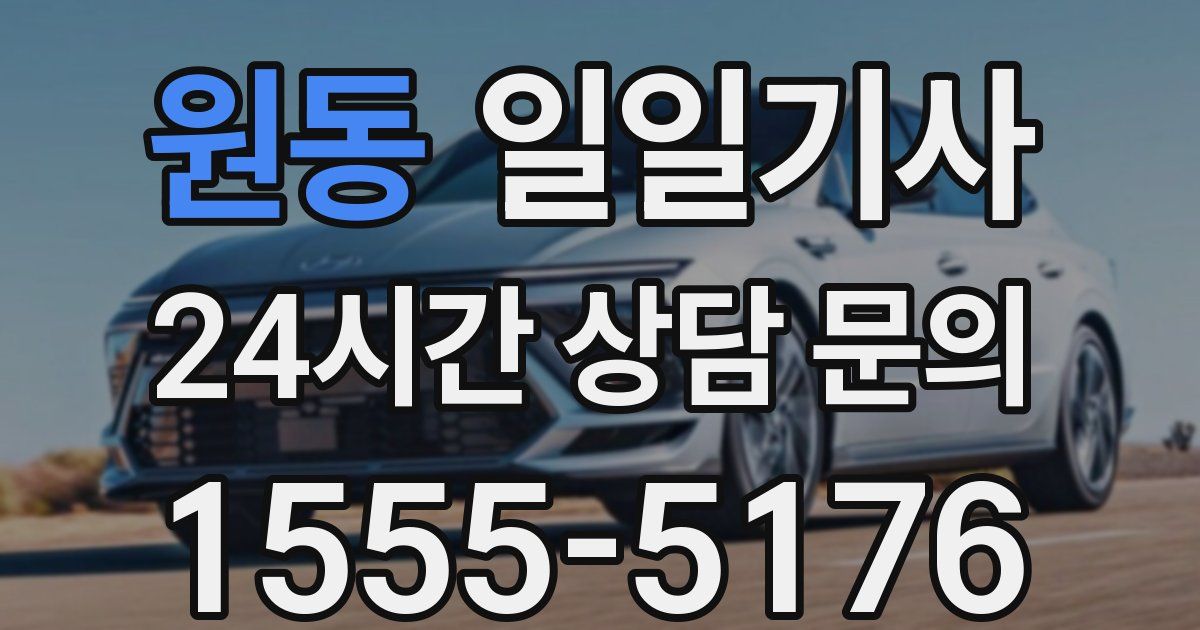 일일대리기사