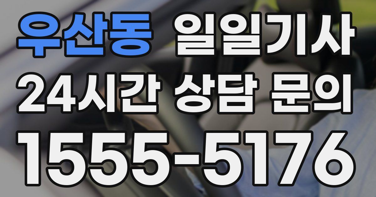 일일대리기사
