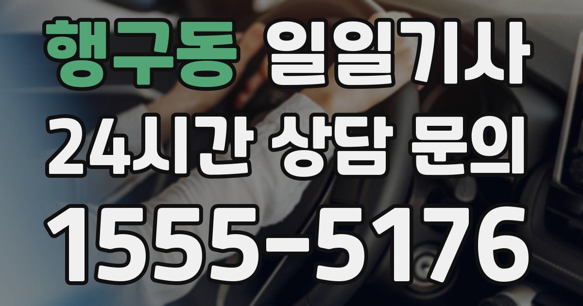 일일대리기사