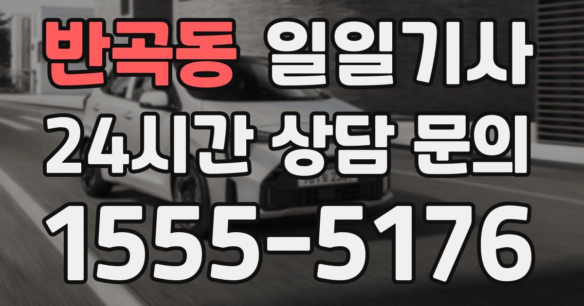일일대리기사