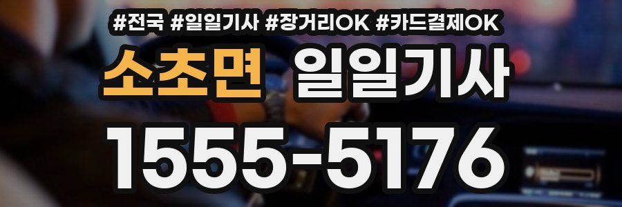 소초면 일일기사