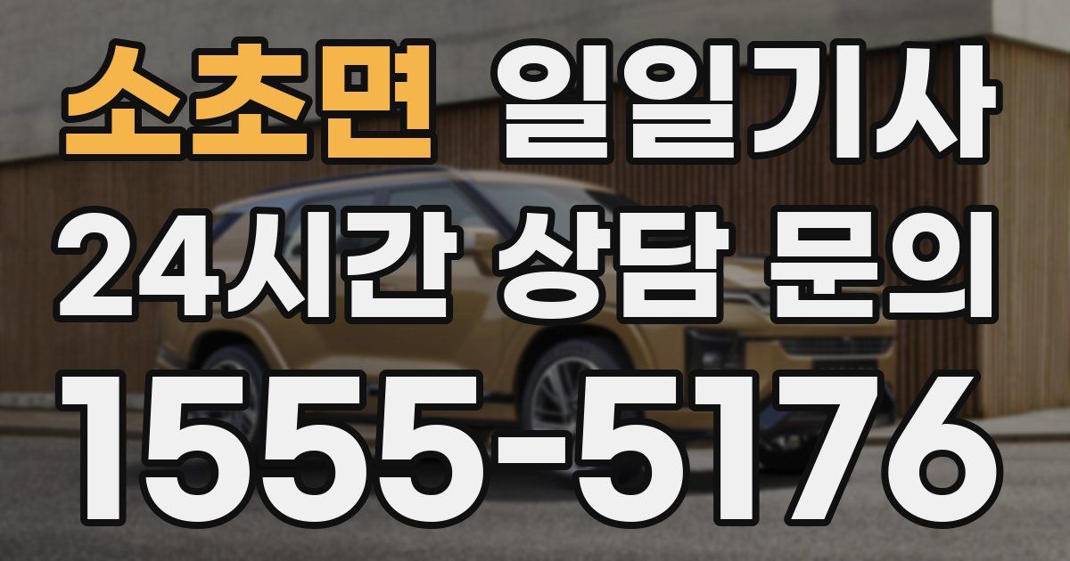 일일대리기사