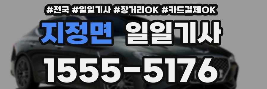 지정면 일일기사