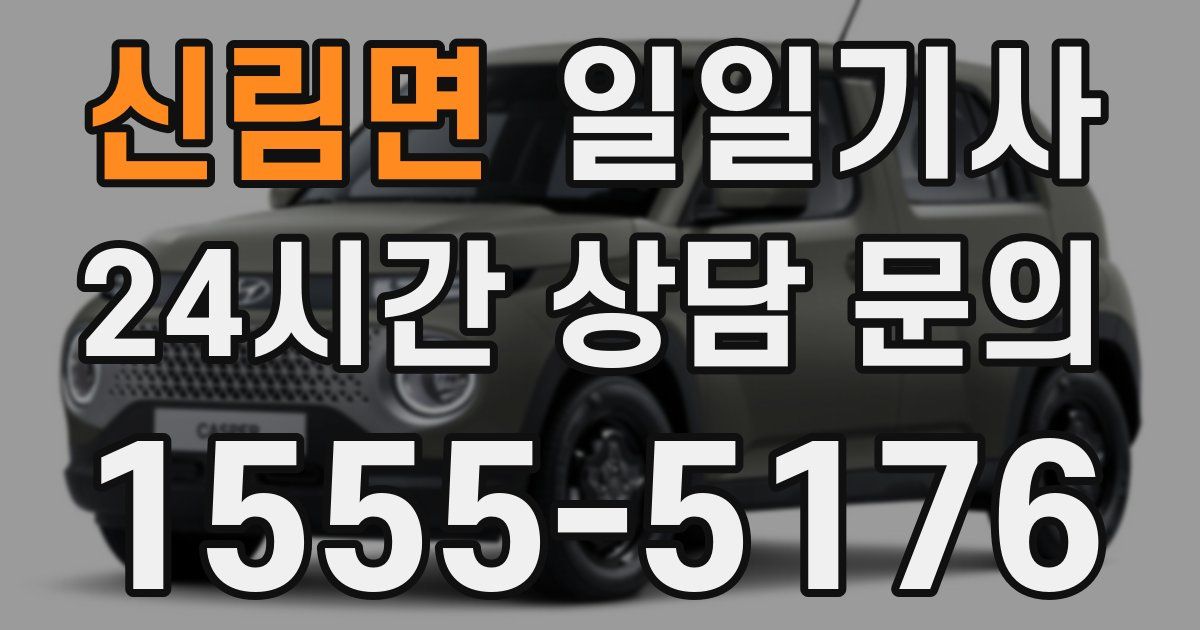 일일대리기사
