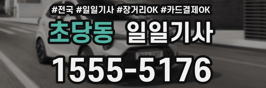 초당동 일일기사