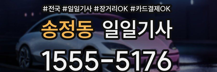 송정동 일일기사