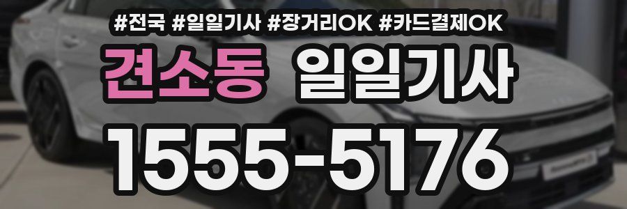 견소동 일일기사