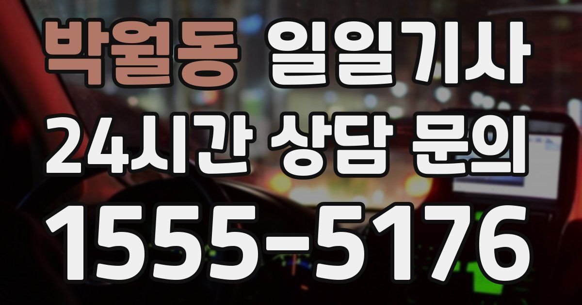 일일대리기사