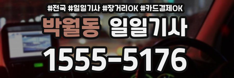 박월동 일일기사