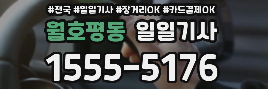 월호평동 일일기사