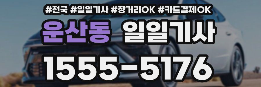 운산동 일일기사