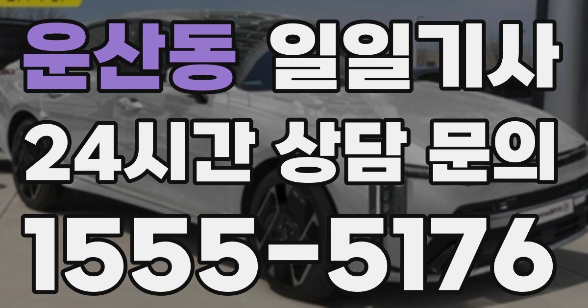 일일대리기사