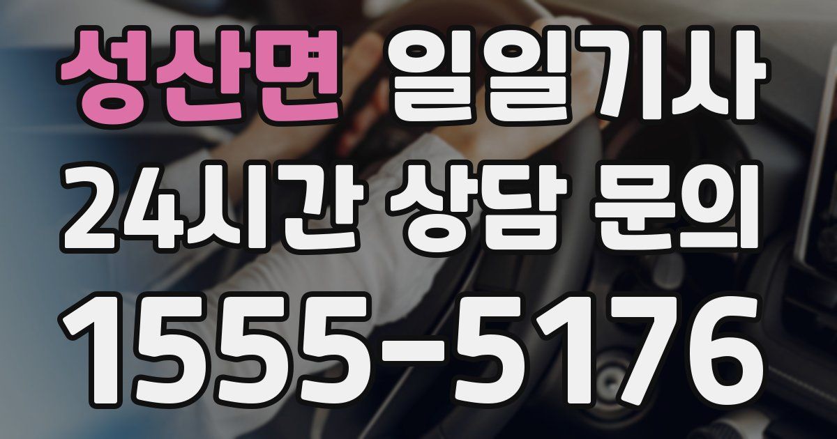 일일대리기사