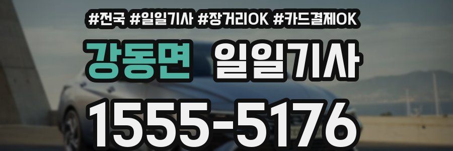 강동면 일일기사