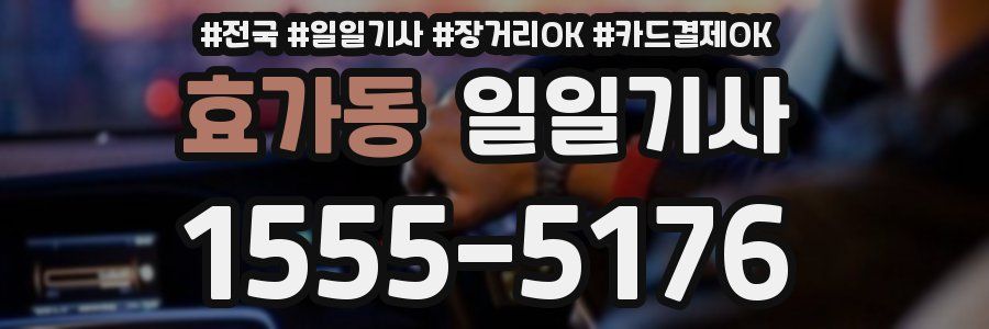 효가동 일일기사