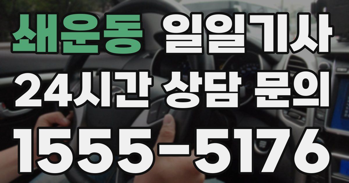 일일대리기사