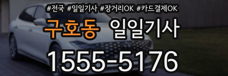 구호동 일일기사