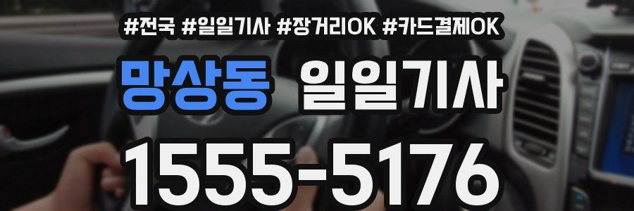 망상동 일일기사