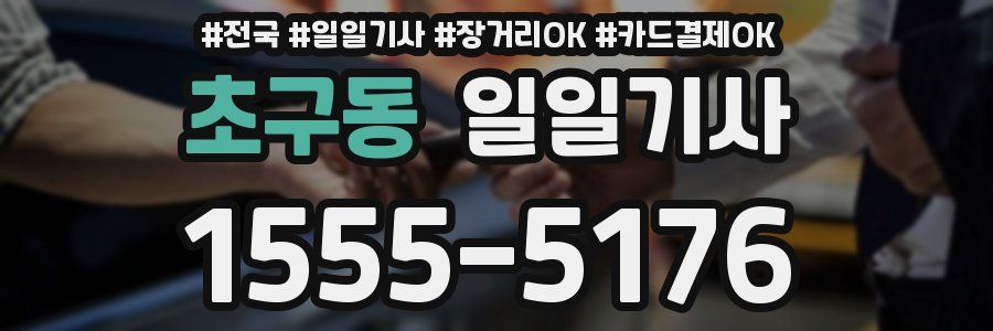 초구동 일일기사