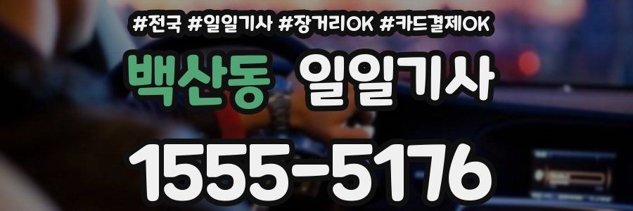 백산동 일일기사