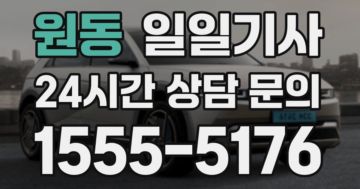 일일대리기사