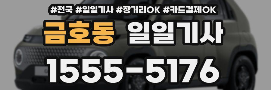 금호동 일일기사