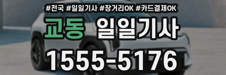 교동 일일기사