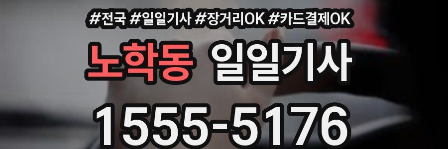 노학동 일일기사