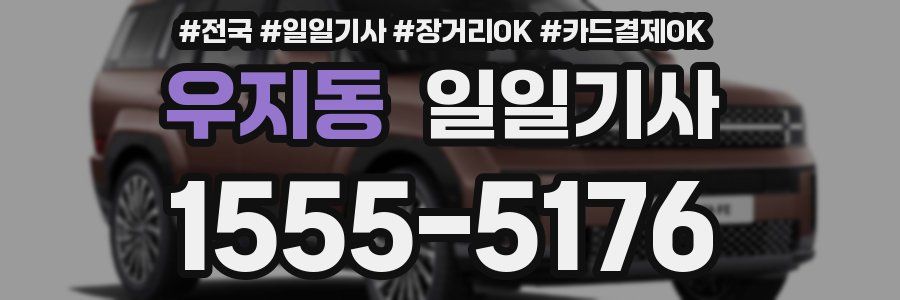 우지동 일일기사