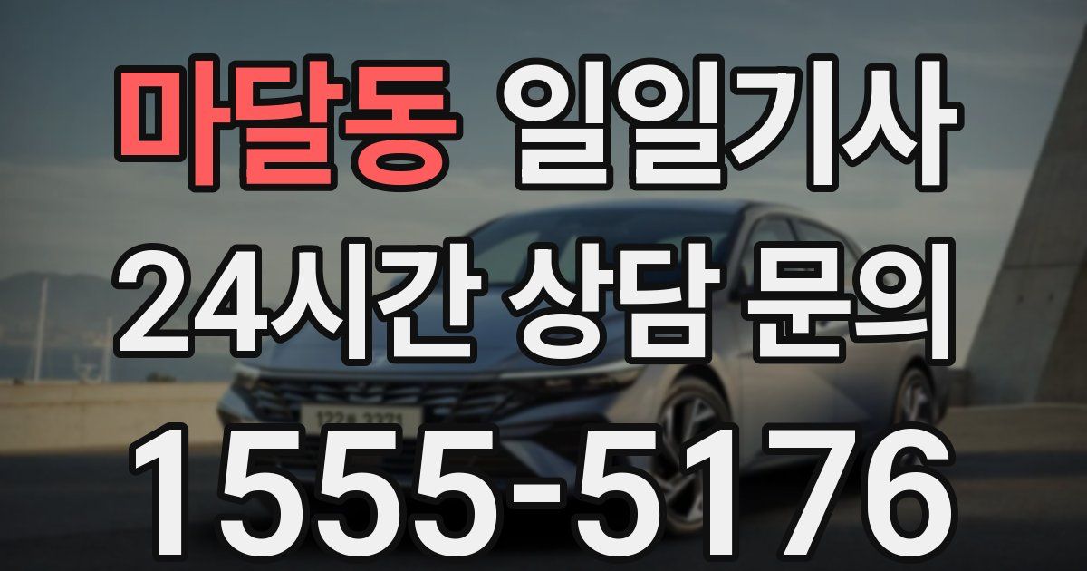 일일대리기사