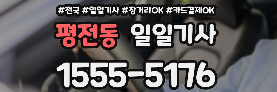 평전동 일일기사