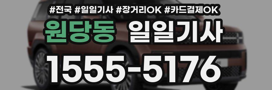 원당동 일일기사