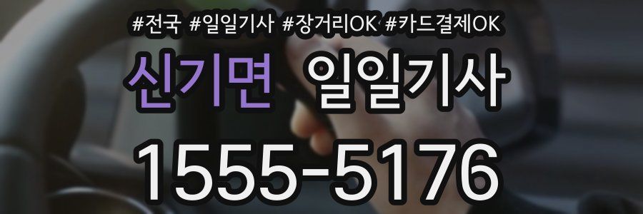 신기면 일일기사