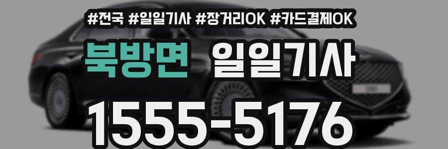 북방면 일일기사