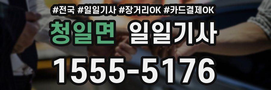 청일면 일일기사