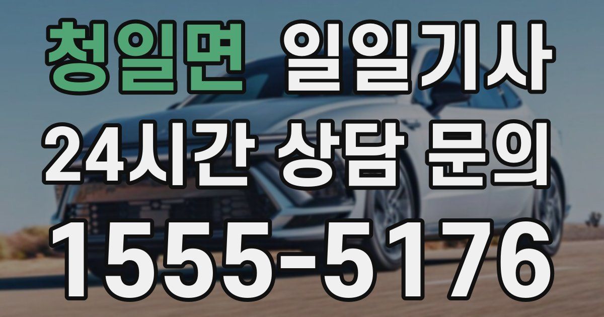 일일대리기사