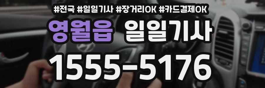 영월읍 일일기사