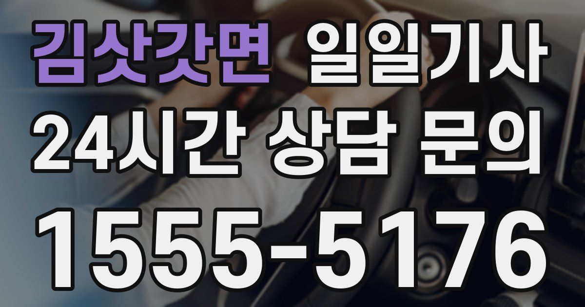 일일대리기사