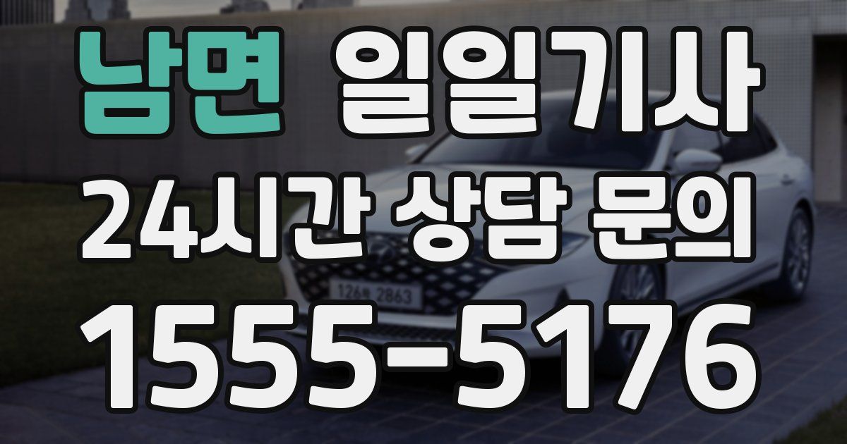 일일대리기사