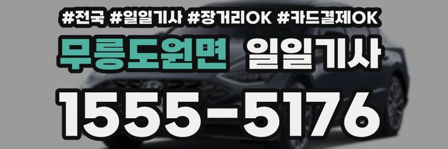 무릉도원면 일일기사