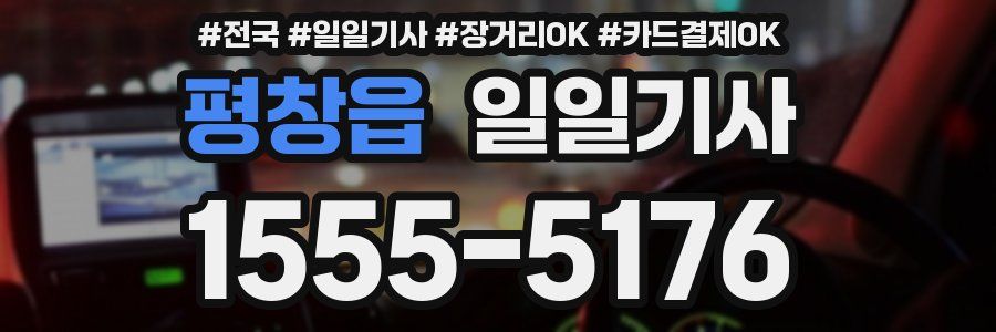 평창읍 일일기사