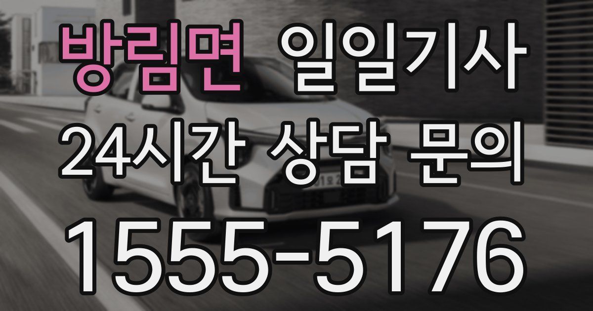일일대리기사